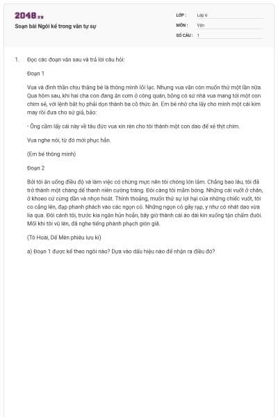 Soạn bài Ngôi kể trong văn tự sự