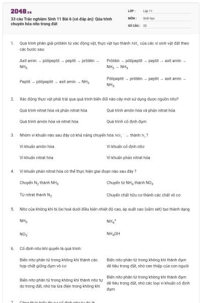 33 câu  Trắc nghiệm Sinh 11 Bài 6 (có đáp án): Qúa trình chuyển  hóa nito trong đất