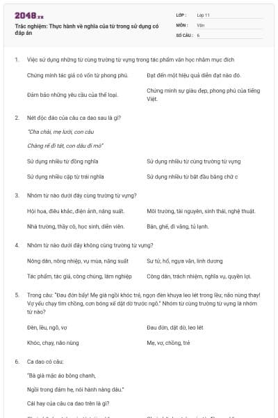 Trắc nghiệm: Thực hành về nghĩa của từ trong sử dụng có đáp án
