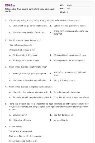 Trắc nghiệm: Thực hành về nghĩa của từ trong sử dụng có đáp án