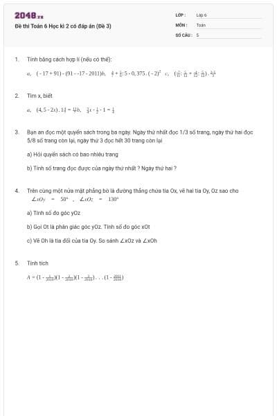Đề thi Toán 6 Học kì 2 có đáp án (Đề 3)