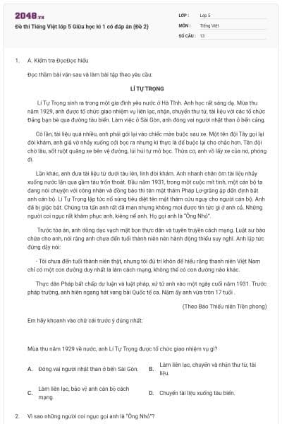 Đề thi Tiếng Việt lớp 5 Giữa học kì 1 có đáp án (Đề 2)