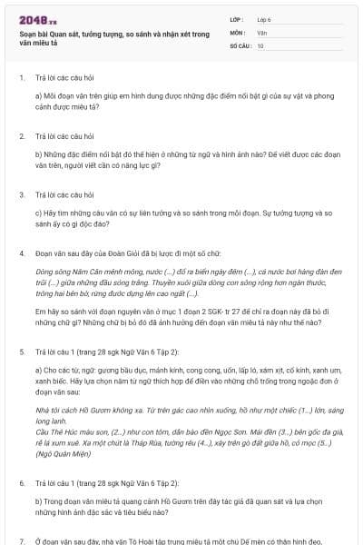 Soạn bài Quan sát, tưởng tượng, so sánh và nhận xét trong văn miêu tả