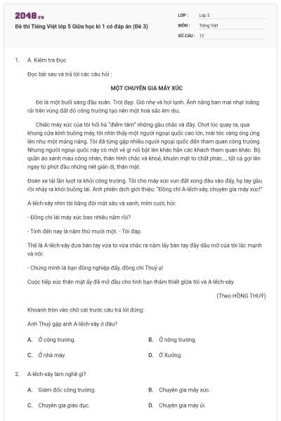 Đề thi Tiếng Việt lớp 5 Giữa học kì 1 có đáp án (Đề 3)