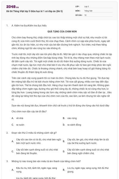 Đề thi Tiếng Việt lớp 5 Giữa học kì 1 có đáp án (Đề 5)