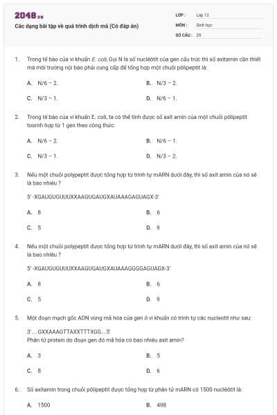 Các dạng bài tập về quá trình dịch mã (Có đáp án)