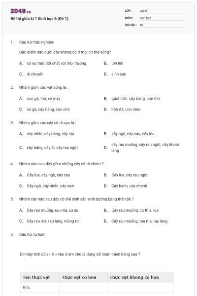 Đề thi giữa kì 1 Sinh học 6 (Đề 1)