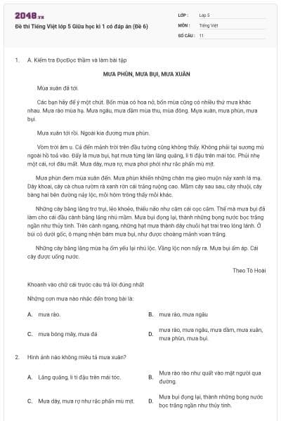 Đề thi Tiếng Việt lớp 5 Giữa học kì 1 có đáp án (Đề 6)