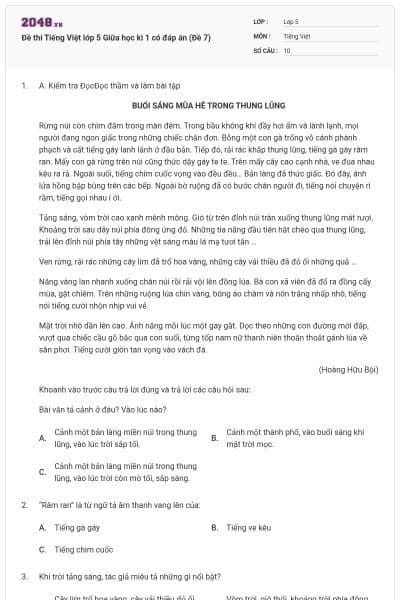 Đề thi Tiếng Việt lớp 5 Giữa học kì 1 có đáp án (Đề 7)