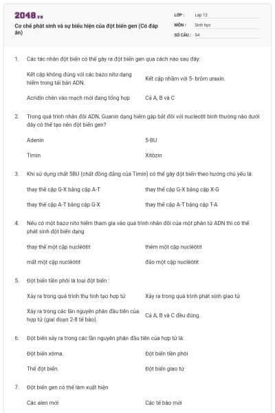 Cơ chế phát sinh và sự biểu hiện của đột biến gen (Có đáp án)