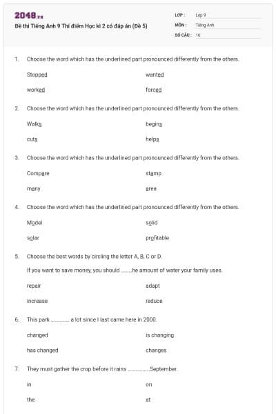 Đề thi Tiếng Anh 9 Thí điểm Học kì 2 có đáp án (Đề 5)