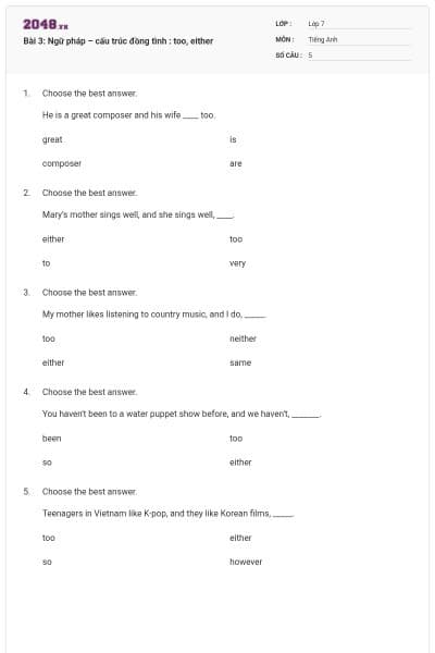 Bài 3: Ngữ pháp – cấu trúc đồng tình : too, either