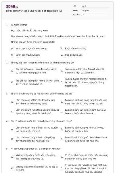 Đề thi Tiếng Việt lớp 5 Giữa học kì 1 có đáp án (Đề 10)