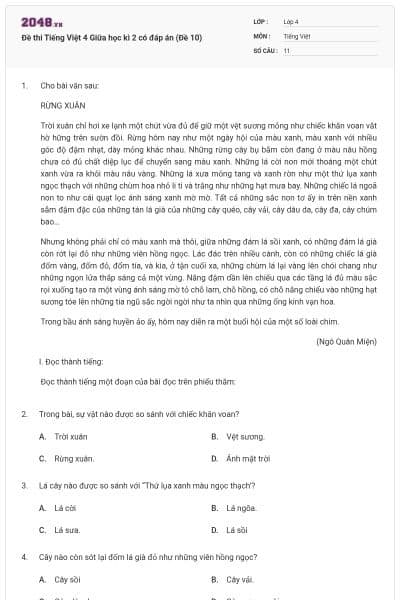 Đề thi Tiếng Việt 4 Giữa học kì 2 có đáp án (Đề 10)