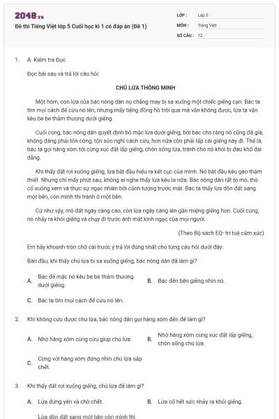 Đề thi Tiếng Việt lớp 5 Cuối học kì 1 có đáp án (Đề 1)