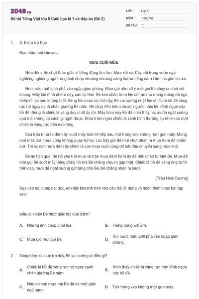 Đề thi Tiếng Việt lớp 5 Cuối học kì 1 có đáp án (Đề 2)