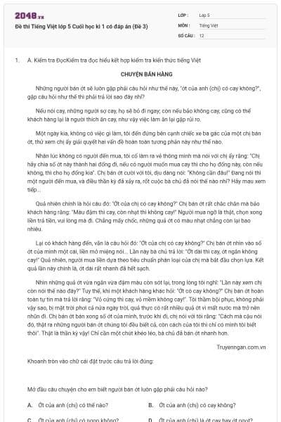 Đề thi Tiếng Việt lớp 5 Cuối học kì 1 có đáp án (Đề 3)