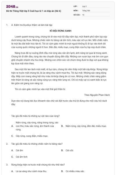 Đề thi Tiếng Việt lớp 5 Cuối học kì 1 có đáp án (Đề 6)