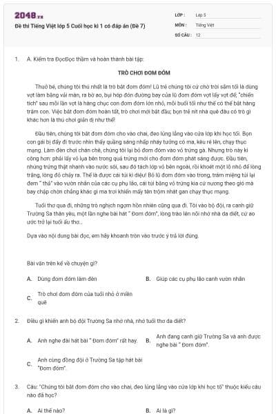 Đề thi Tiếng Việt lớp 5 Cuối học kì 1 có đáp án (Đề 7)