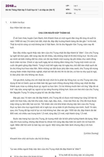 Đề thi Tiếng Việt lớp 5 Cuối học kì 1 có đáp án (Đề 9)