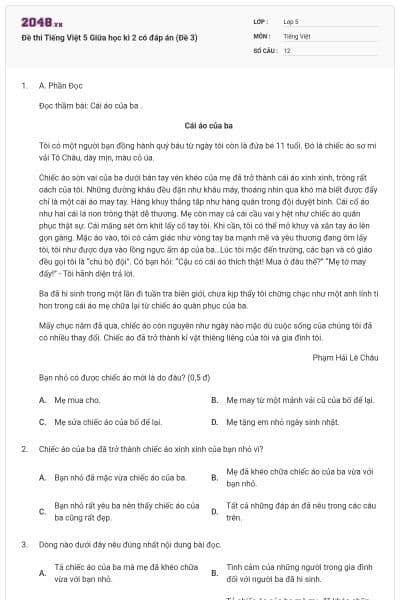 Đề thi Tiếng Việt 5 Giữa học kì 2 có đáp án (Đề 3)