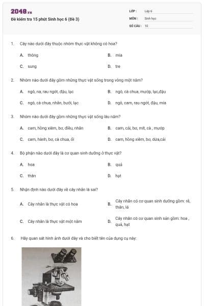 Đề kiểm tra 15 phút Sinh học 6 (Đề 3)