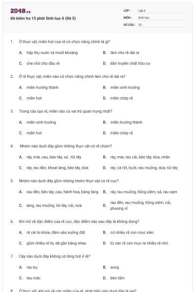 Đề kiểm tra 15 phút Sinh học 6 (Đề 5)