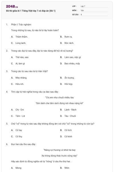 Đề thi giữa kì 1 Tiếng Việt lớp 7 có đáp án (Đề 1)