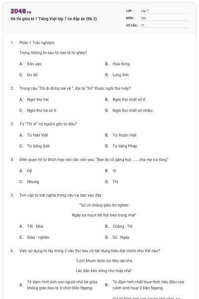 Đề thi giữa kì 1 Tiếng Việt lớp 7 có đáp án (Đề 2)