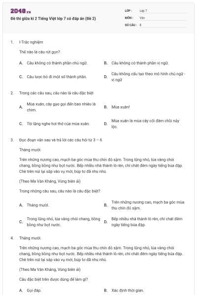 Đề thi giữa kì 2 Tiếng Việt lớp 7 có đáp án (Đề 2)