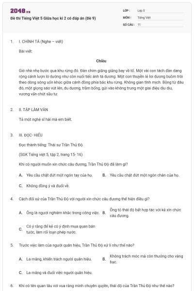 Đề thi Tiếng Việt 5 Giữa học kì 2 có đáp án (Đề 9)