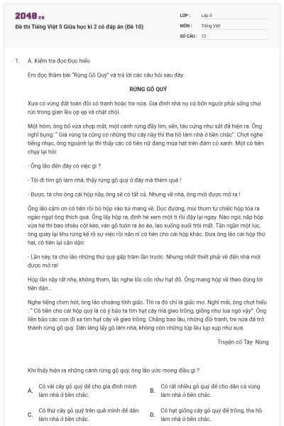 Đề thi Tiếng Việt 5 Giữa học kì 2 có đáp án (Đề 10)