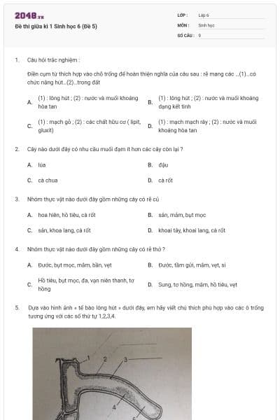 Đề thi giữa kì 1 Sinh học 6 (Đề 5)