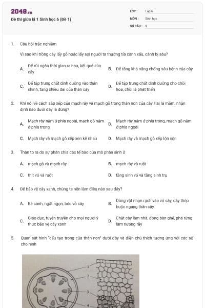 Đề thi giữa kì 1 Sinh học 6 (Đề 1)