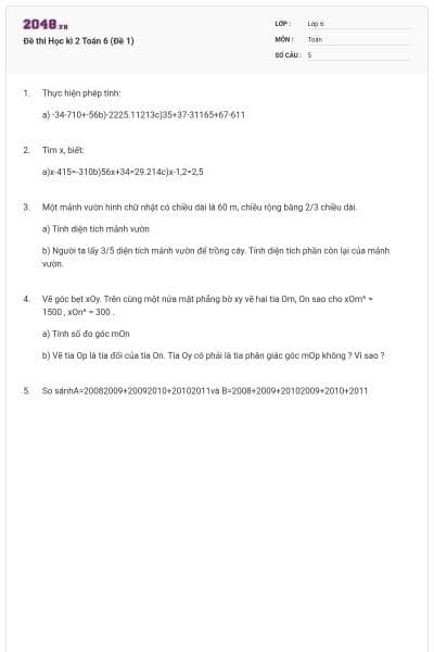 Đề thi Học kì 2 Toán 6 (Đề 1)