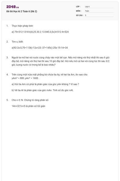 Đề thi Học kì 2 Toán 6 (Đề 2)