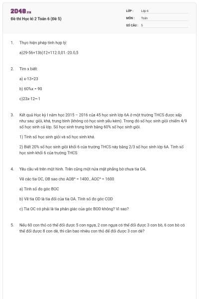 Đề thi Học kì 2 Toán 6 (Đề 5)