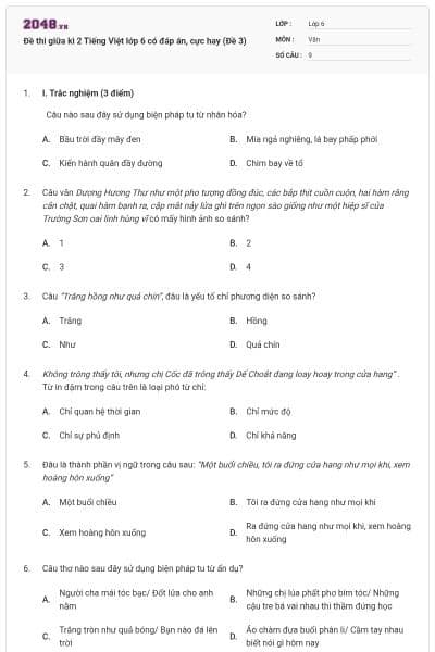 Đề thi giữa kì 2 Tiếng Việt lớp 6 có đáp án, cực hay (Đề 3)