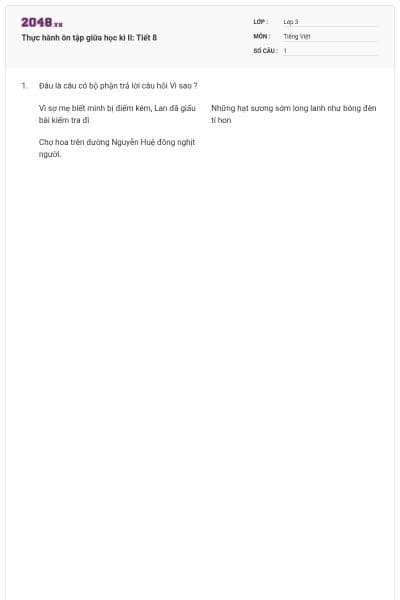 Thực hành ôn tập giữa học kì II: Tiết 8