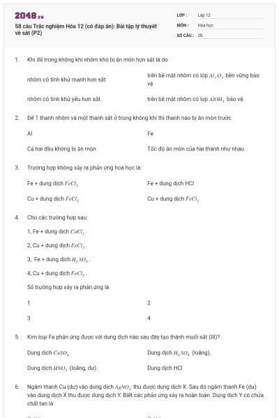 58 câu Trắc nghiệm Hóa 12 (có đáp án): Bài tập lý thuyết về sắt (P2)
