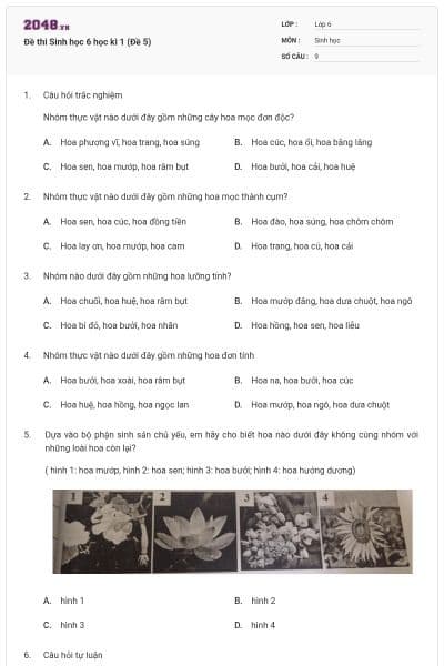 Đề thi Sinh học 6 học kì 1 (Đề 5)
