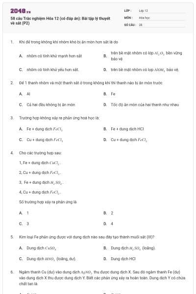 58 câu Trắc nghiệm Hóa 12 (có đáp án): Bài tập lý thuyết về sắt (P2)