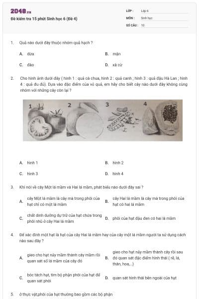 Đề kiểm tra 15 phút Sinh học 6 (Đề 4)