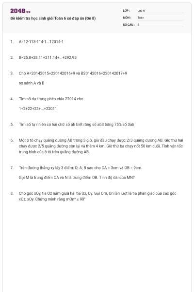 Đề kiểm tra học sinh giỏi Toán 6 có đáp án (Đề 8)