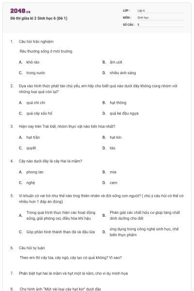 Đề thi giữa kì 2 Sinh học 6 (Đề 1)