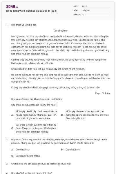 Đề thi Tiếng Việt 5 Cuối học kì 2 có đáp án (Đề 5)