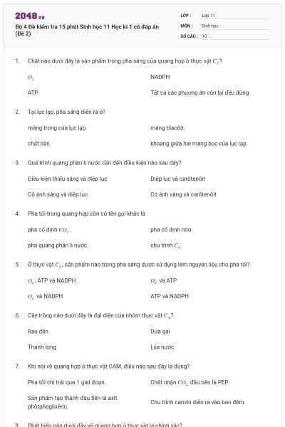 Bộ 4 Đề kiểm tra 15 phút Sinh học 11 Học kì 1 có đáp án (Đề 2)