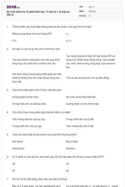 Bộ 4 Đề kiểm tra 15 phút Sinh học 11 Học kì 1 có đáp án (Đề 3)