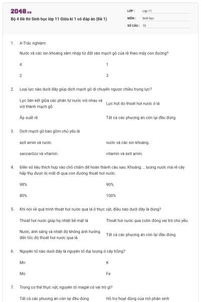 Bộ 4 Đề thi Sinh học lớp 11 Giữa kì 1 có đáp án (Đề 1)