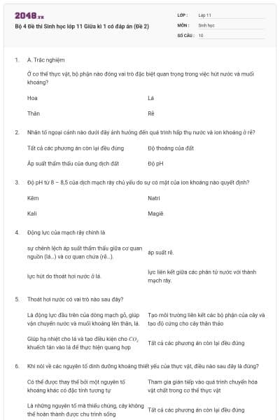 Bộ 4 Đề thi Sinh học lớp 11 Giữa kì 1 có đáp án (Đề 2)